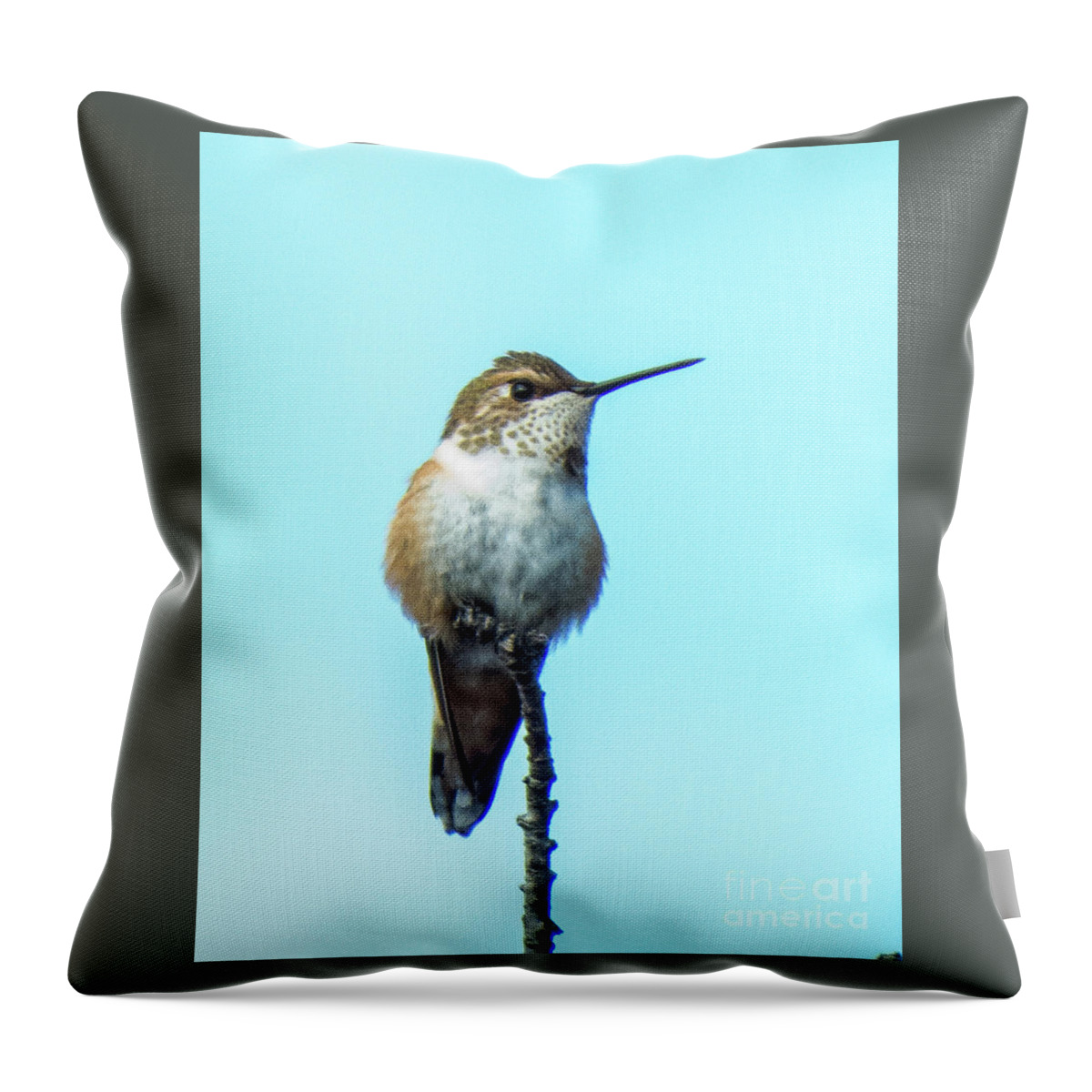 Hummingbird Throw Pillow featuring the photograph Hummingbird 8 by Christy Garavetto