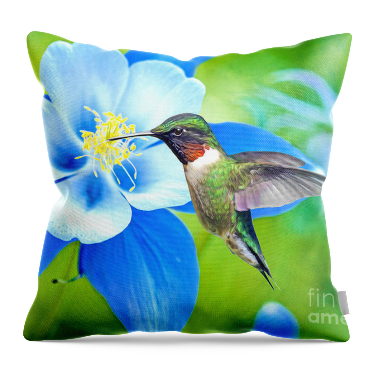 Ruby Throated Hummingbird Throw Pillow featuring the photograph Hummingbird and Columbine by Laura D Young