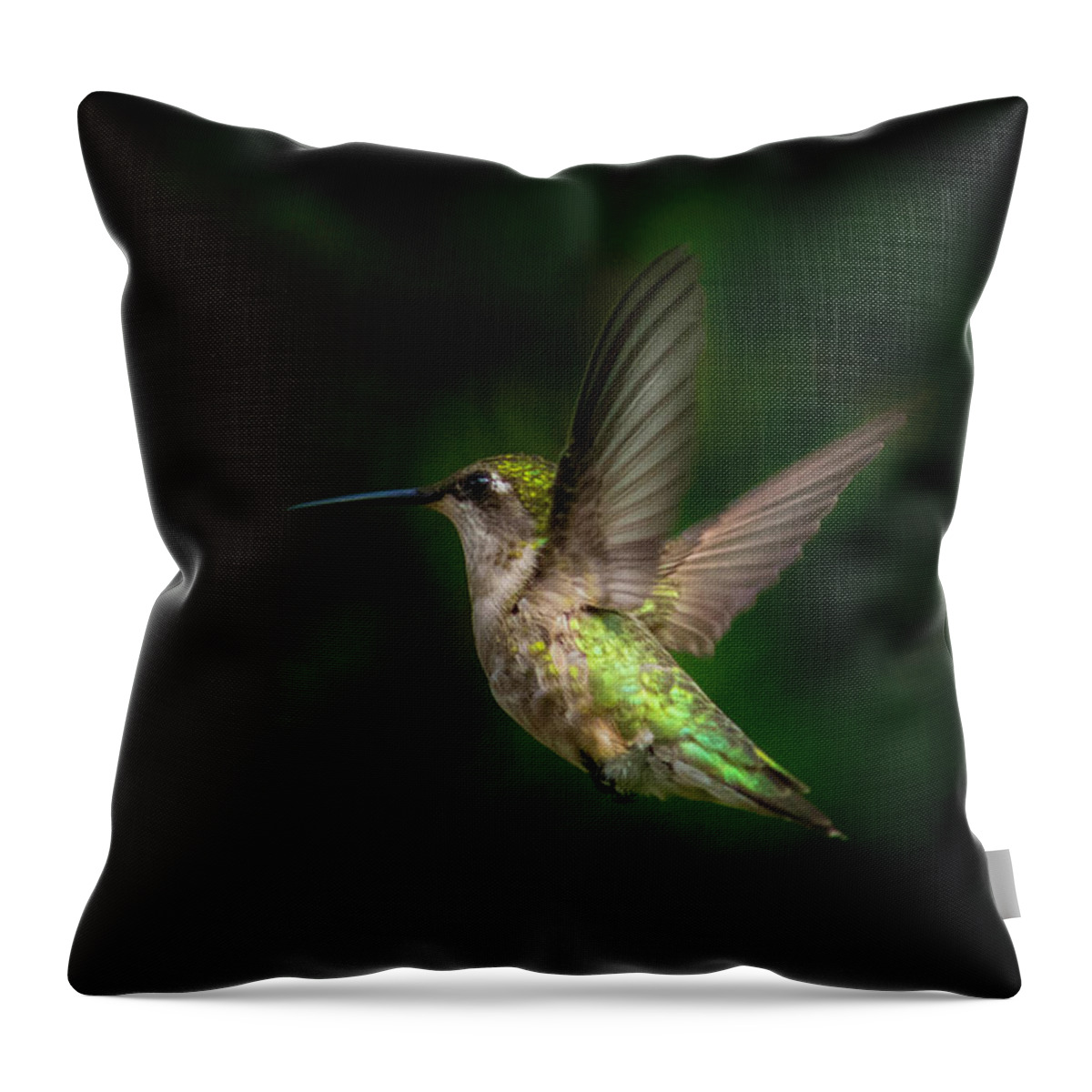 Young Ruby Throated Hummingbird Throw Pillow featuring the photograph Hummingbird b by Kenneth Cole