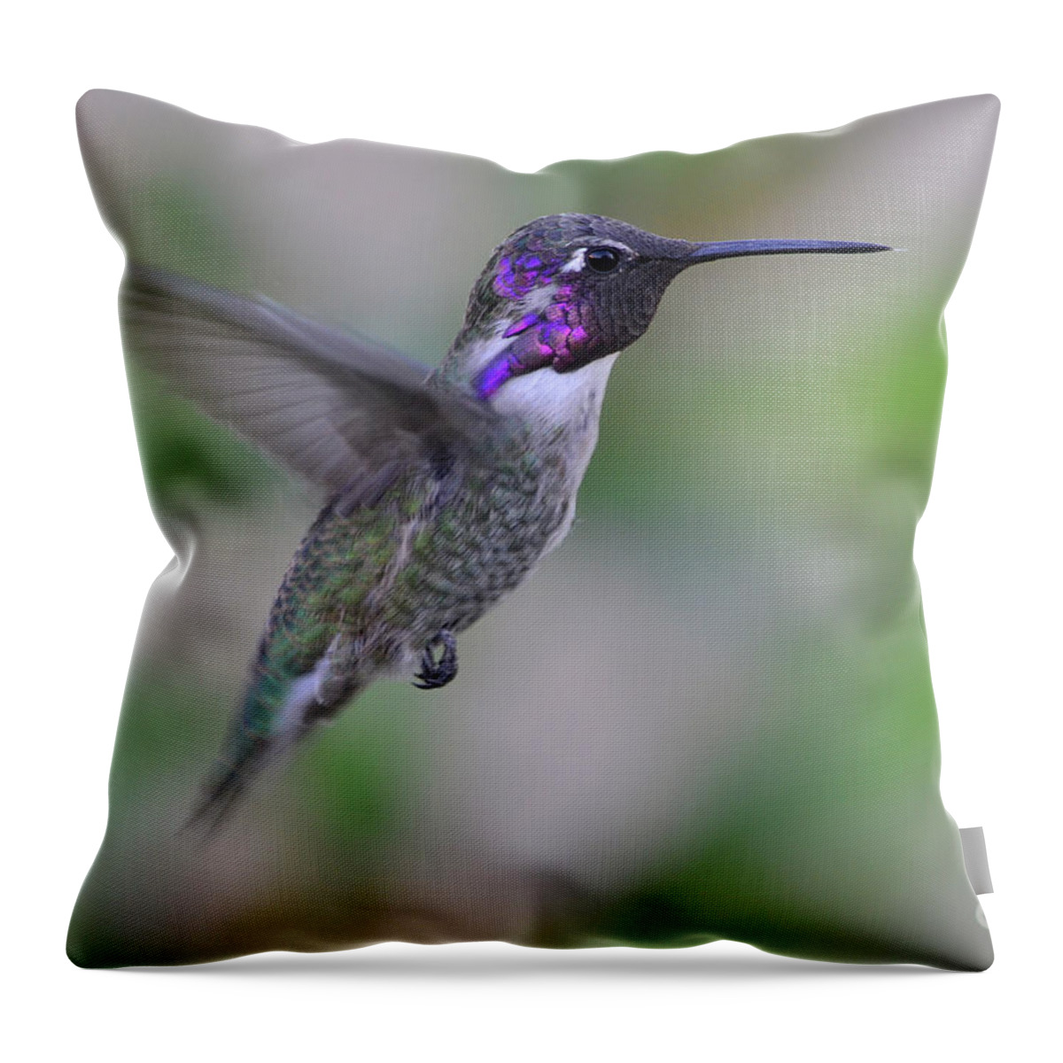 Rose Throw Pillow featuring the photograph Hummingbird Flight by Debby Pueschel
