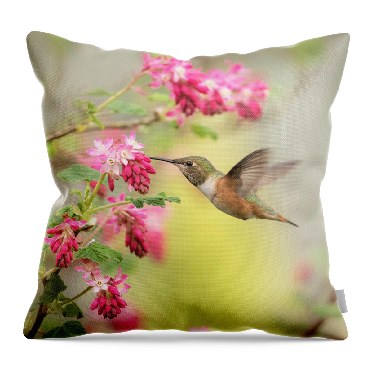 Hummingbird Throw Pillow featuring the photograph Hummingbird Heaven 2 by Angie Vogel