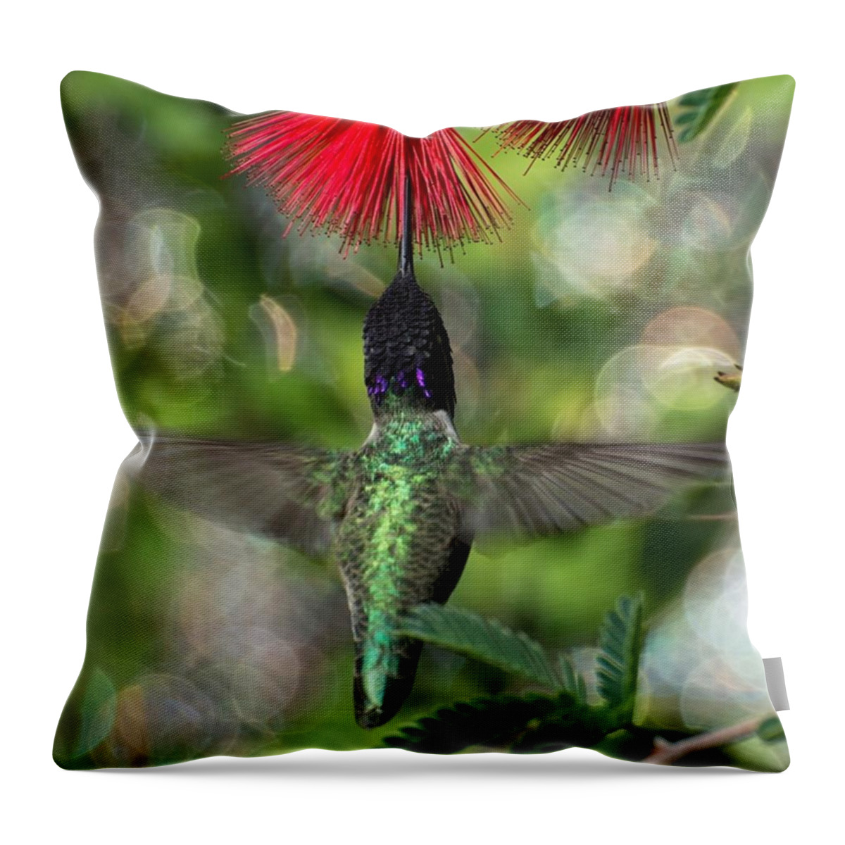 Flower Throw Pillow featuring the photograph Hummingbird In Flight #1 by Michael Moriarty