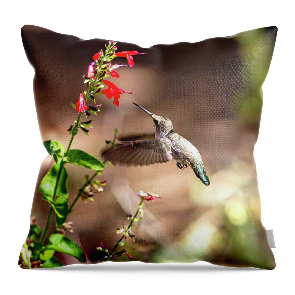 Nature Throw Pillow featuring the photograph Hummingbird In-Flight With Red Wildflower by Good Focused