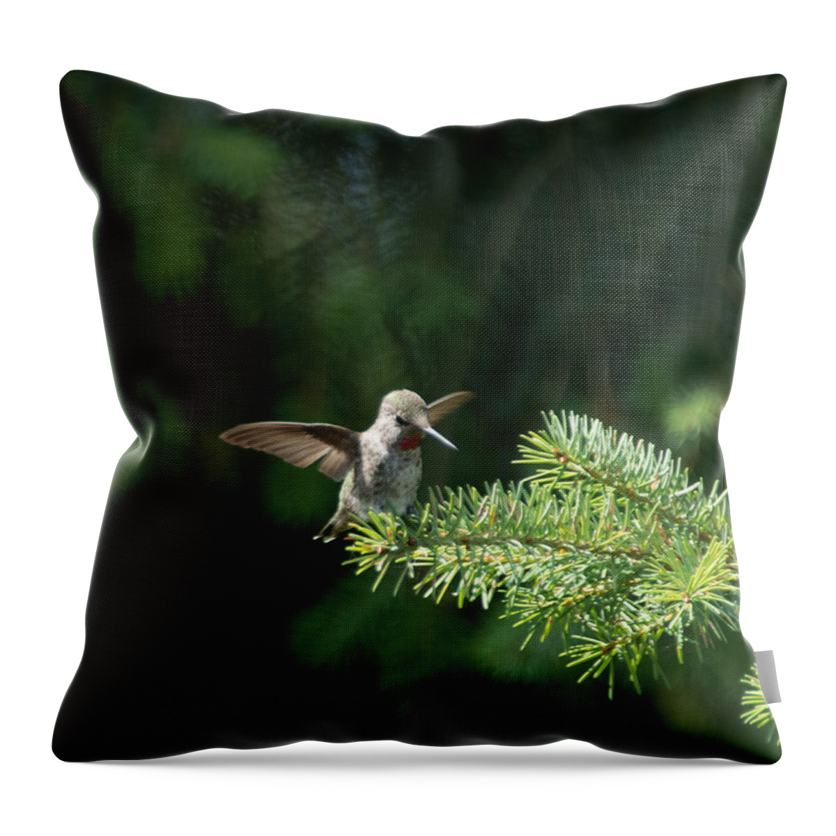 Hummingbird Throw Pillow featuring the photograph Happy Hummingbird - original by Marilyn Wilson