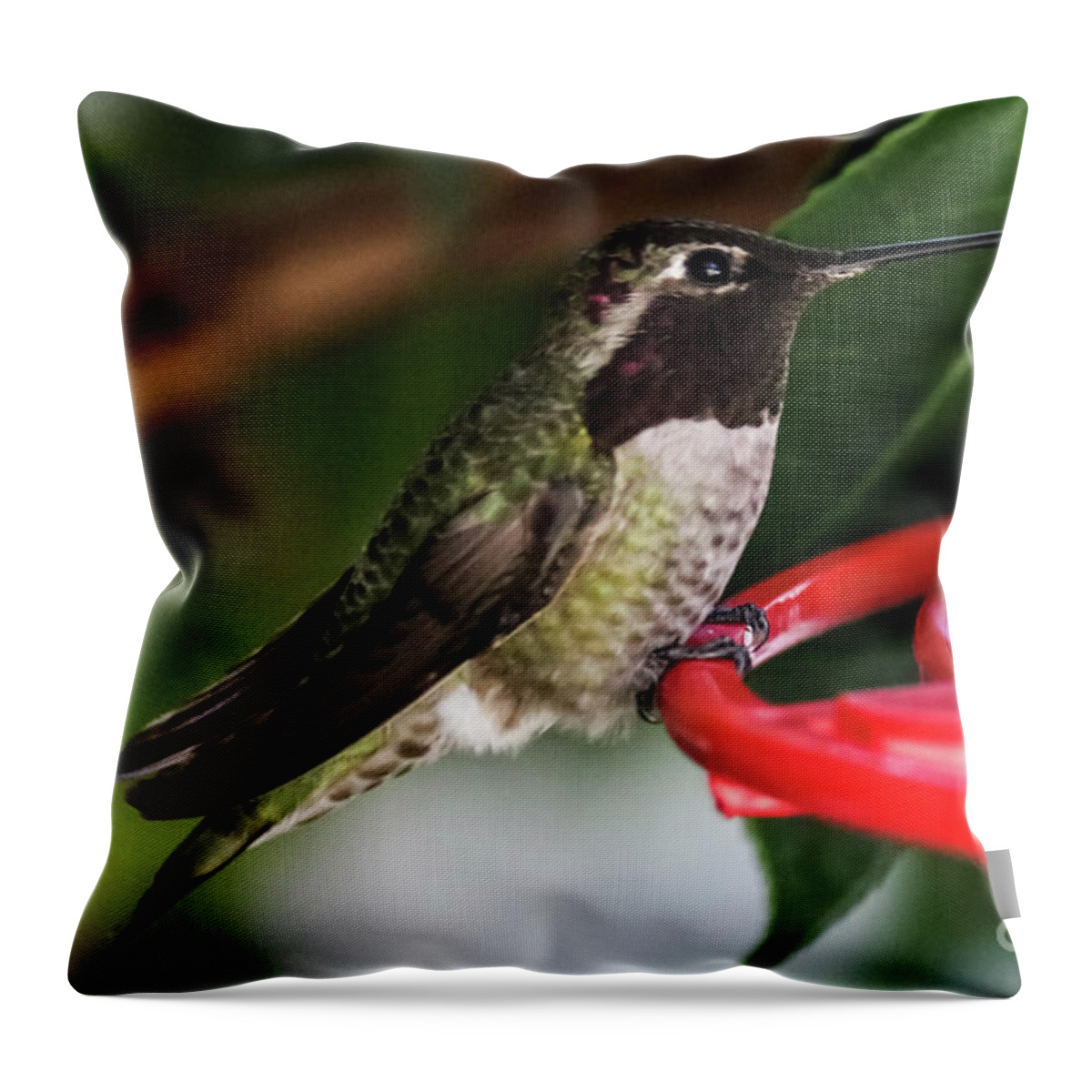 Hummingbird Throw Pillow featuring the photograph Hummingbird by Suzanne Luft
