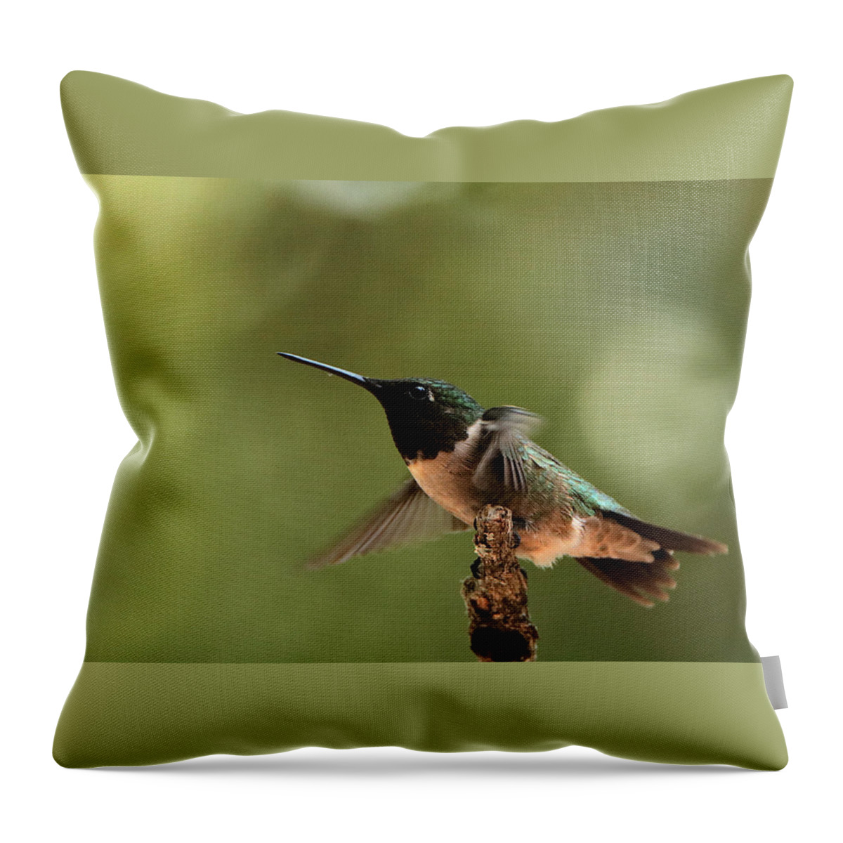 Nature Throw Pillow featuring the photograph Hummingbird Take-Off by Sheila Brown