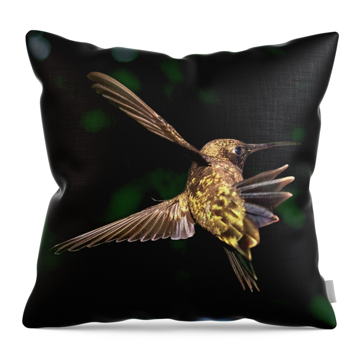 Hummingbird Throw Pillow featuring the photograph Hummingbird Taking Off by Abram House