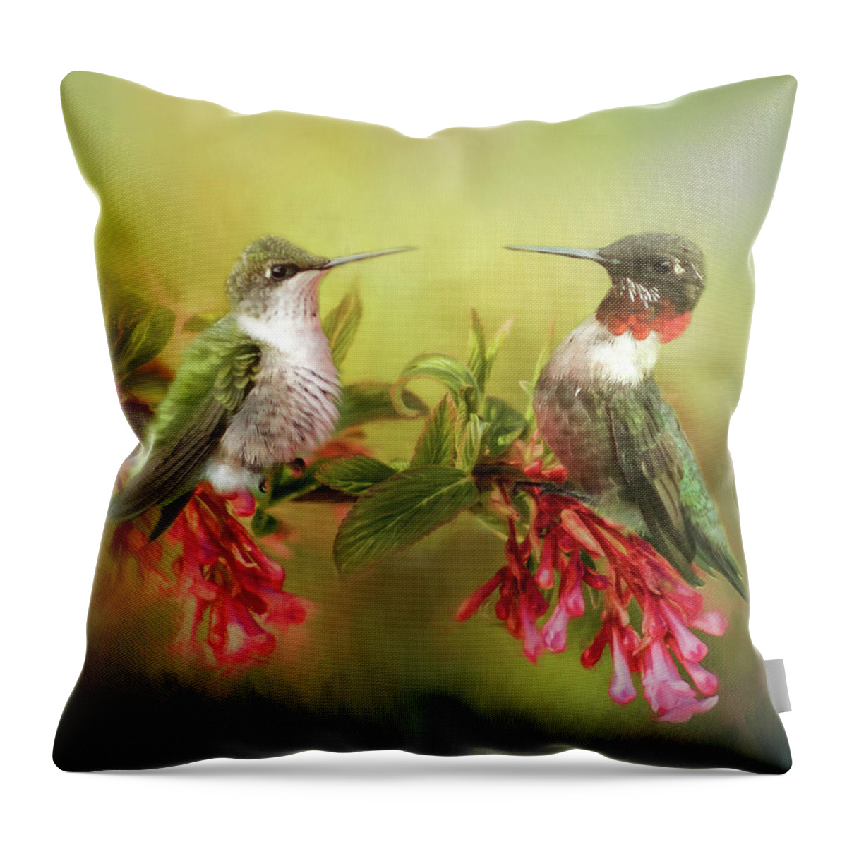 Hummingbirds Throw Pillow featuring the photograph Hummingbirds and Blossoms by TnBackroadsPhotos