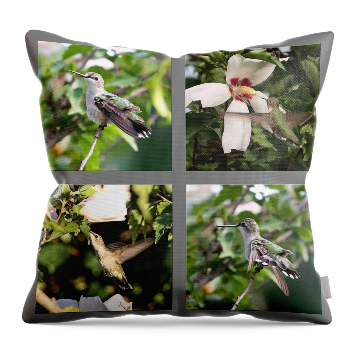 Nature Throw Pillow featuring the photograph Hummingbirds by John Freidenberg