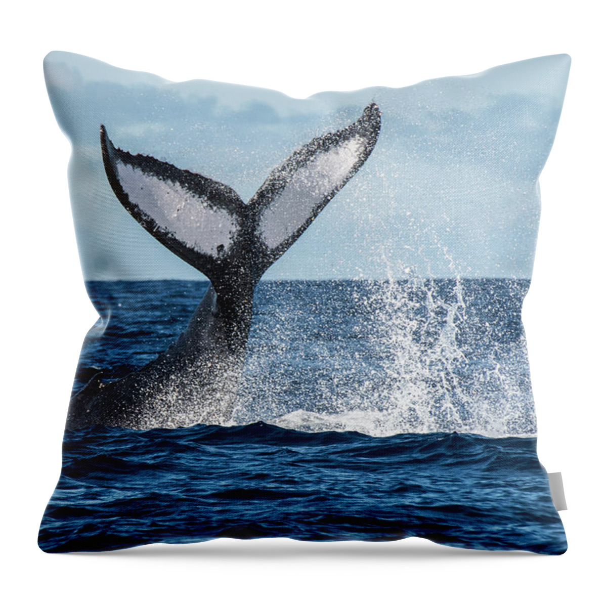 Hawaii Throw Pillow featuring the photograph Humpback Whale Off The Coast Of Maui by Matt McDonald