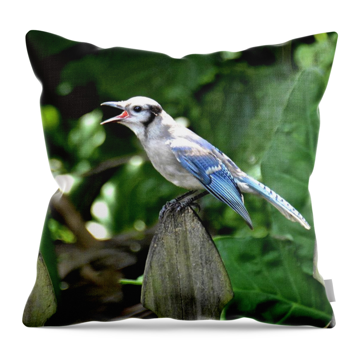 Bird Throw Pillow featuring the photograph Hungry Bird by Carol Bradley