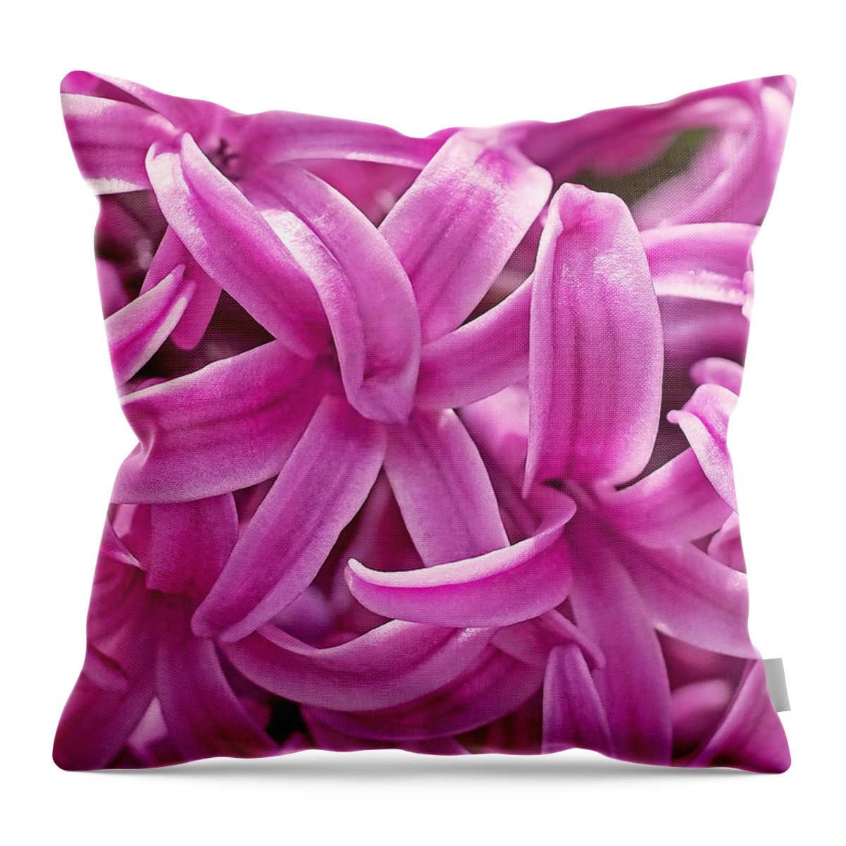 Hyacinth Throw Pillow featuring the photograph Hyacinth Pink Pearl by Rona Black