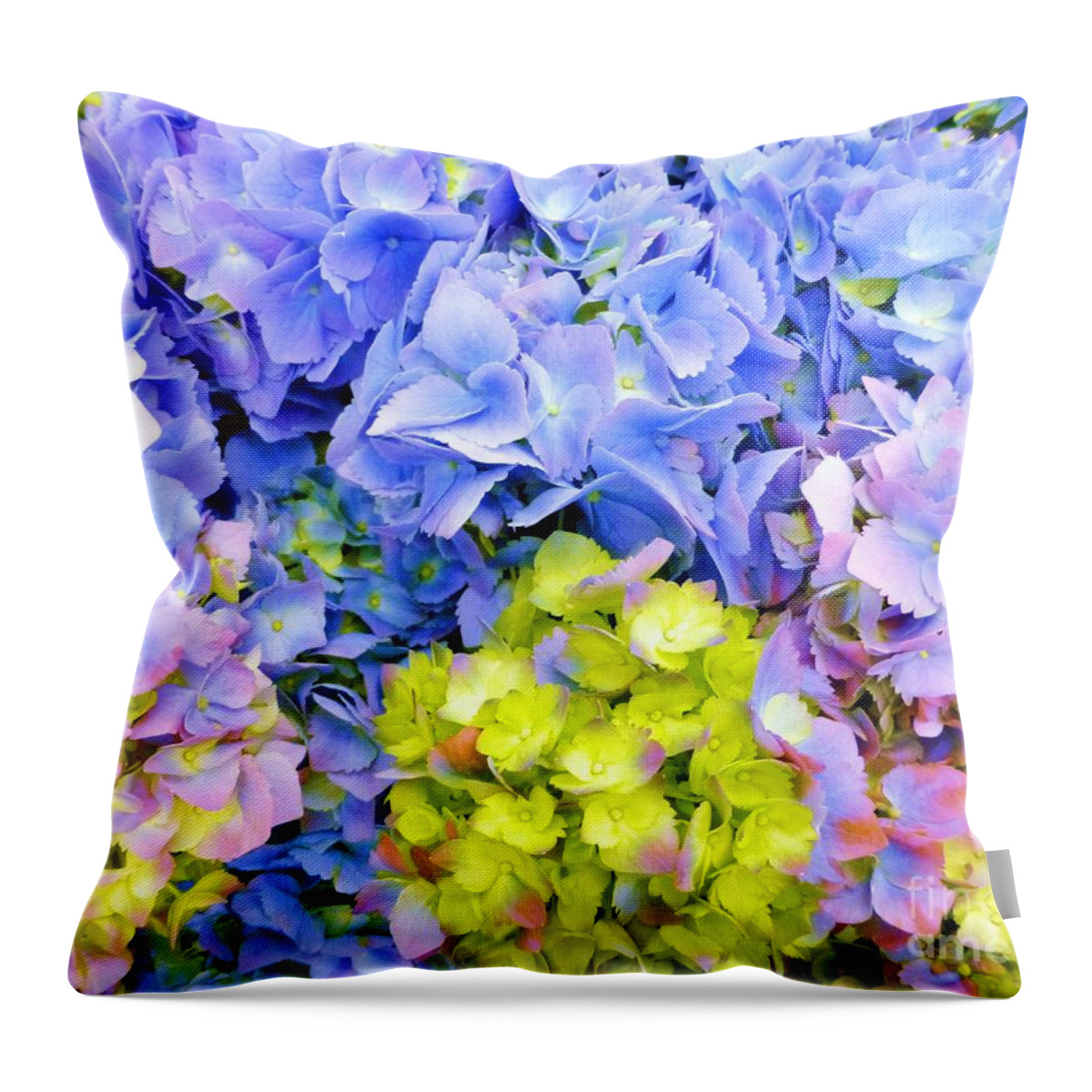 Hydrangea Throw Pillow featuring the photograph Hydrangeas en masse by Barbie Corbett-Newmin