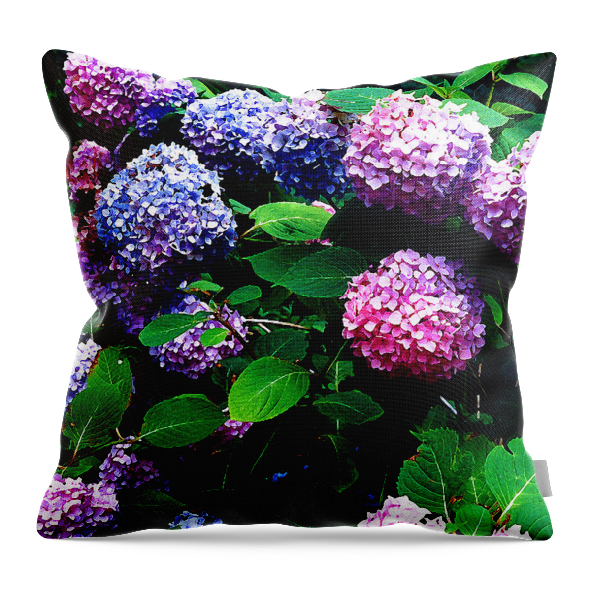 Flowers Throw Pillow featuring the photograph Hydrangeas by Nancy Mueller