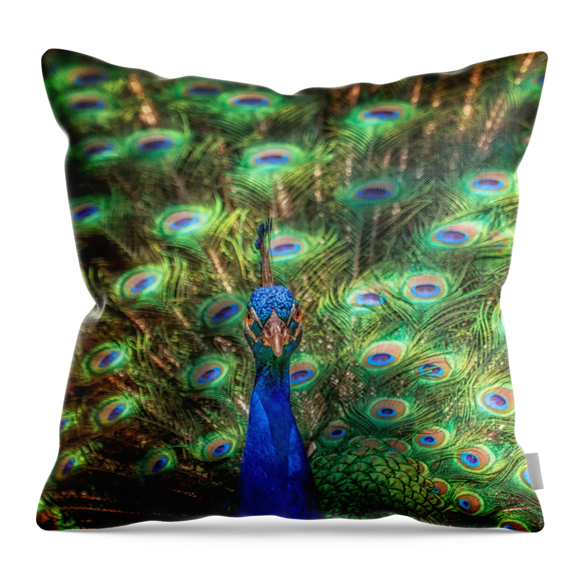 Critter Throw Pillow featuring the photograph Hypnotic Eyes by Sylvia J Zarco