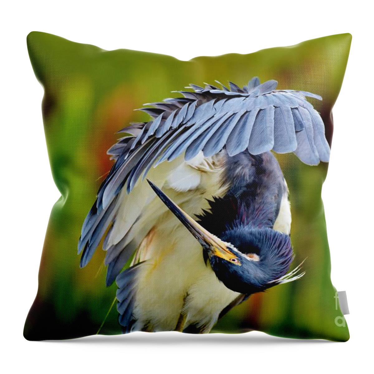Tri Color Heron Throw Pillow featuring the photograph I am Dracula by Julie Adair