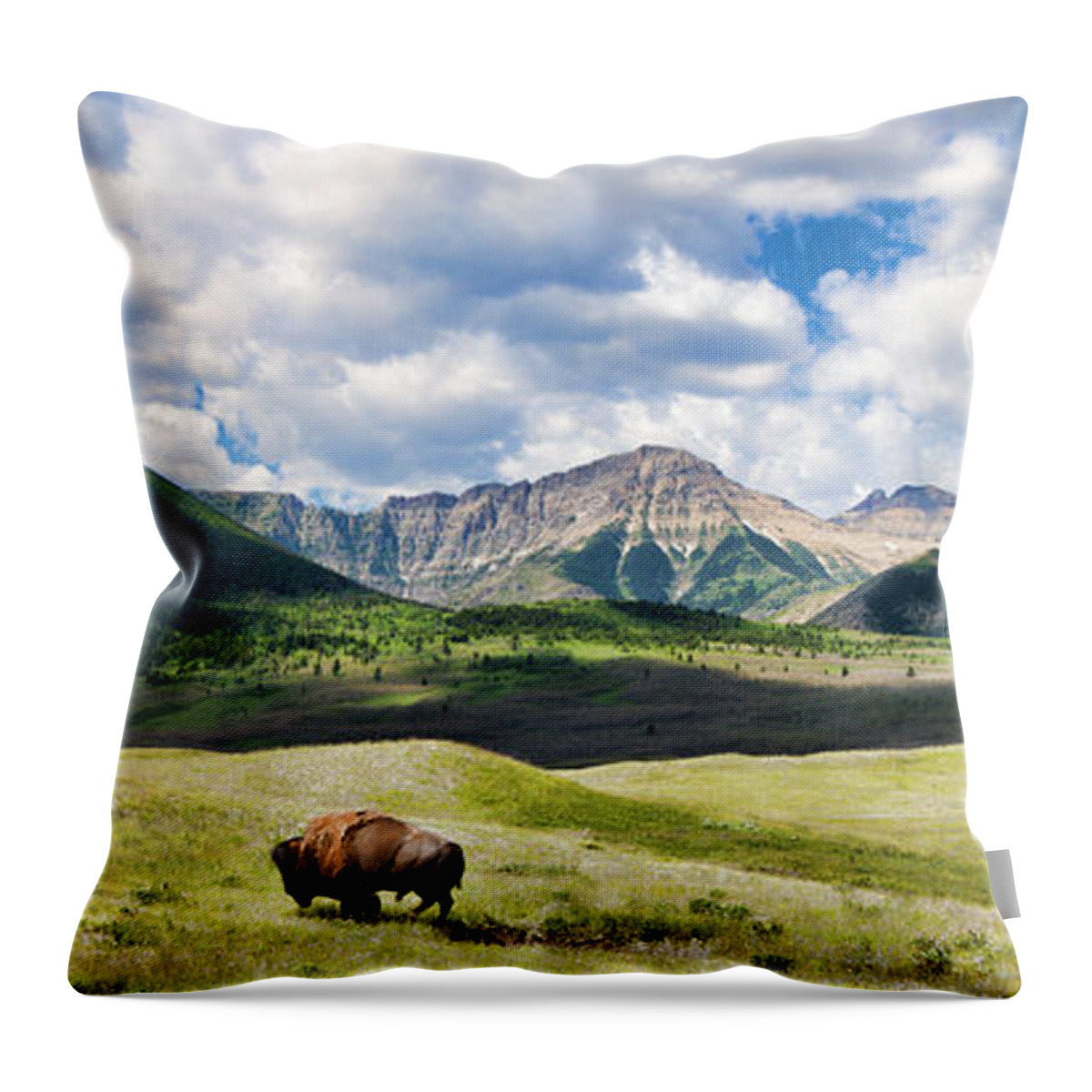 Bison Throw Pillow featuring the photograph I Am Still Here by Allan Van Gasbeck