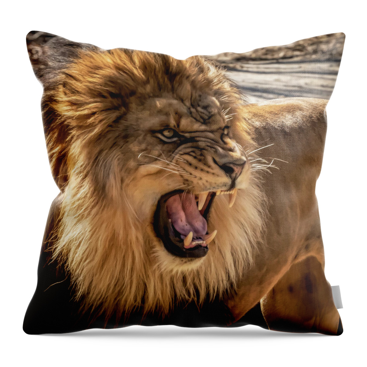 Male Lion Throw Pillow featuring the photograph I Am The King by David Pine