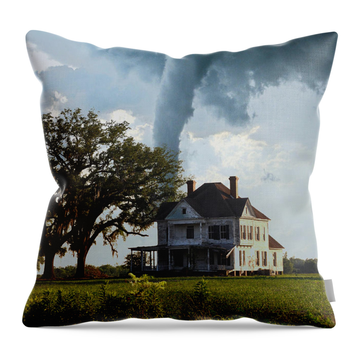 Landscapes Throw Pillow featuring the photograph I Am The Wind You Are The Feather by Jan Amiss Photography