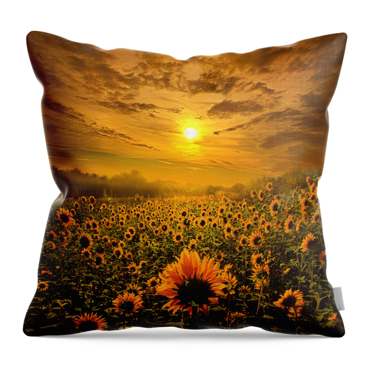 Sun Flowers Throw Pillow featuring the photograph I Believe In New Beginnings by Phil Koch
