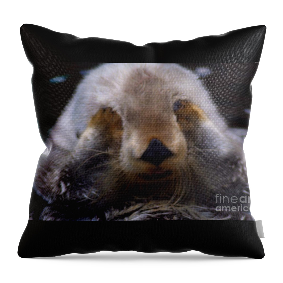 Otters Throw Pillow featuring the photograph I can't watch by Nick Gustafson
