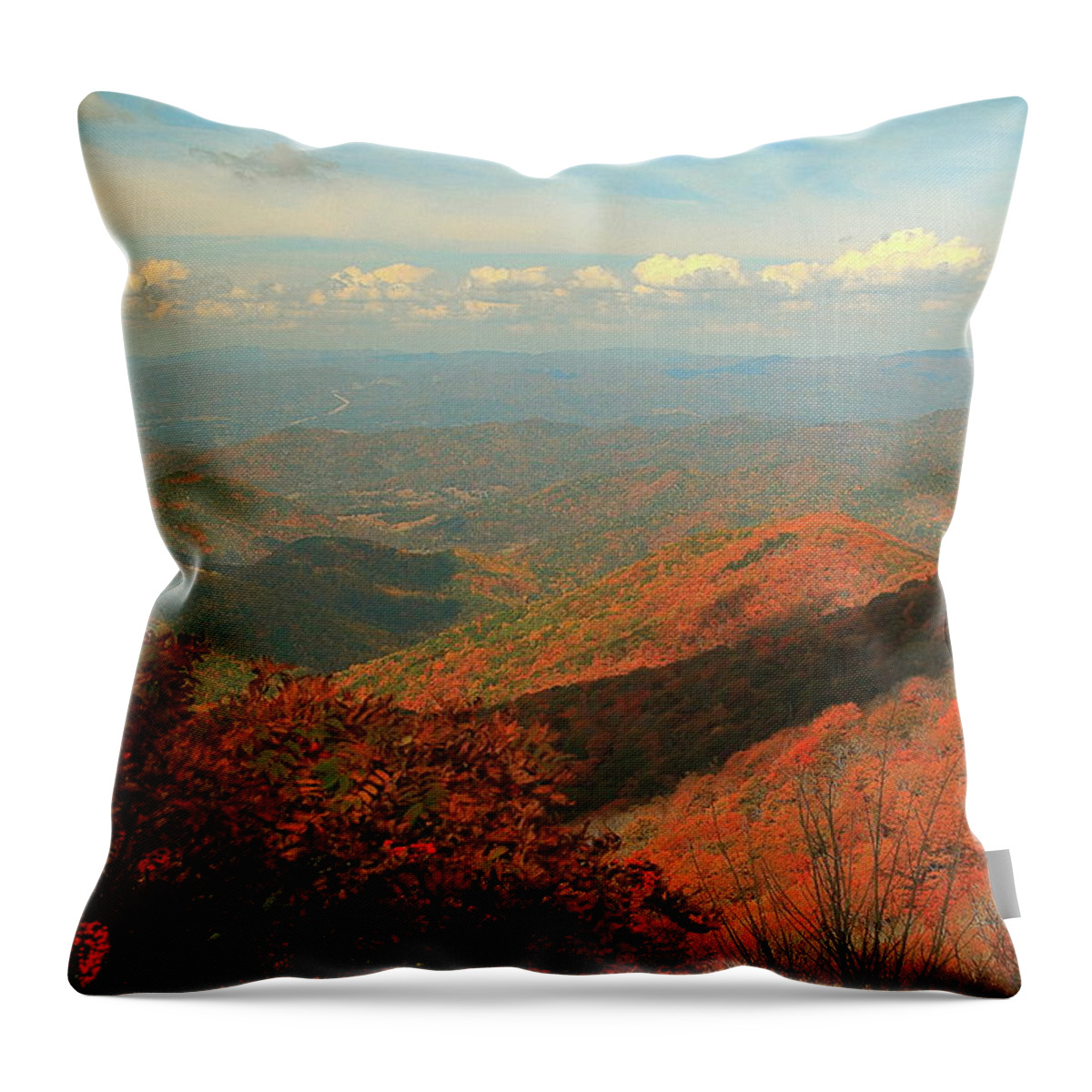 Blue Ridge Parkway Views Throw Pillow featuring the photograph I Could See Forever by Allen Nice-Webb