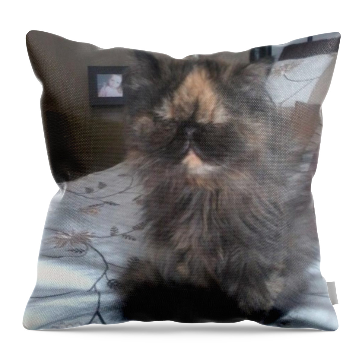 Grumpy Cat Throw Pillow featuring the photograph I Don't Like Mornings by Shona Walker