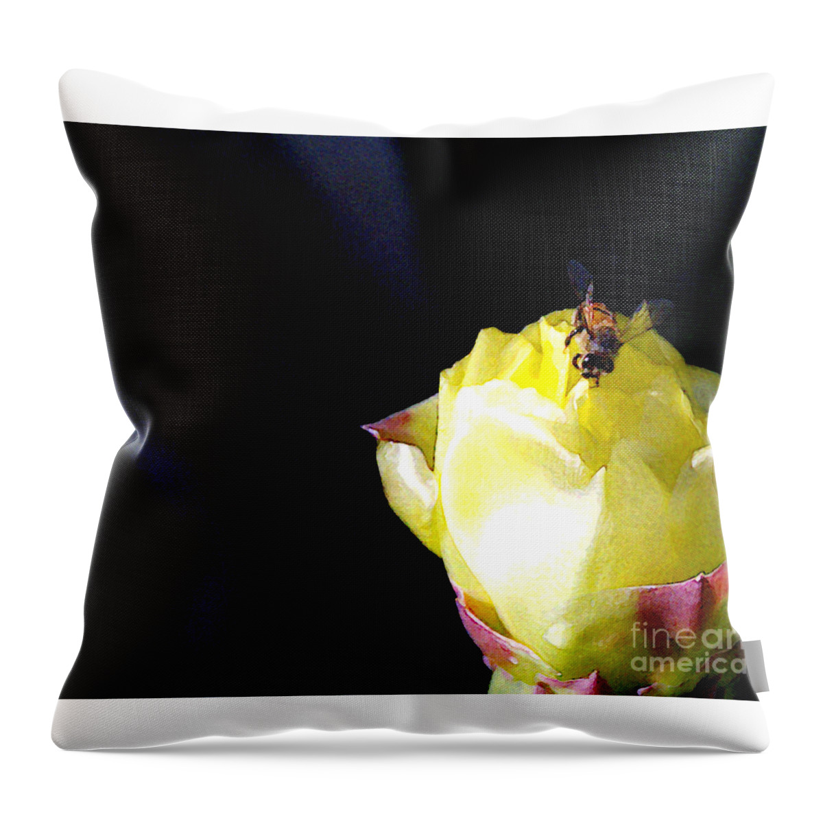 Cactus Throw Pillow featuring the photograph I Feel You Always Near by Linda Shafer