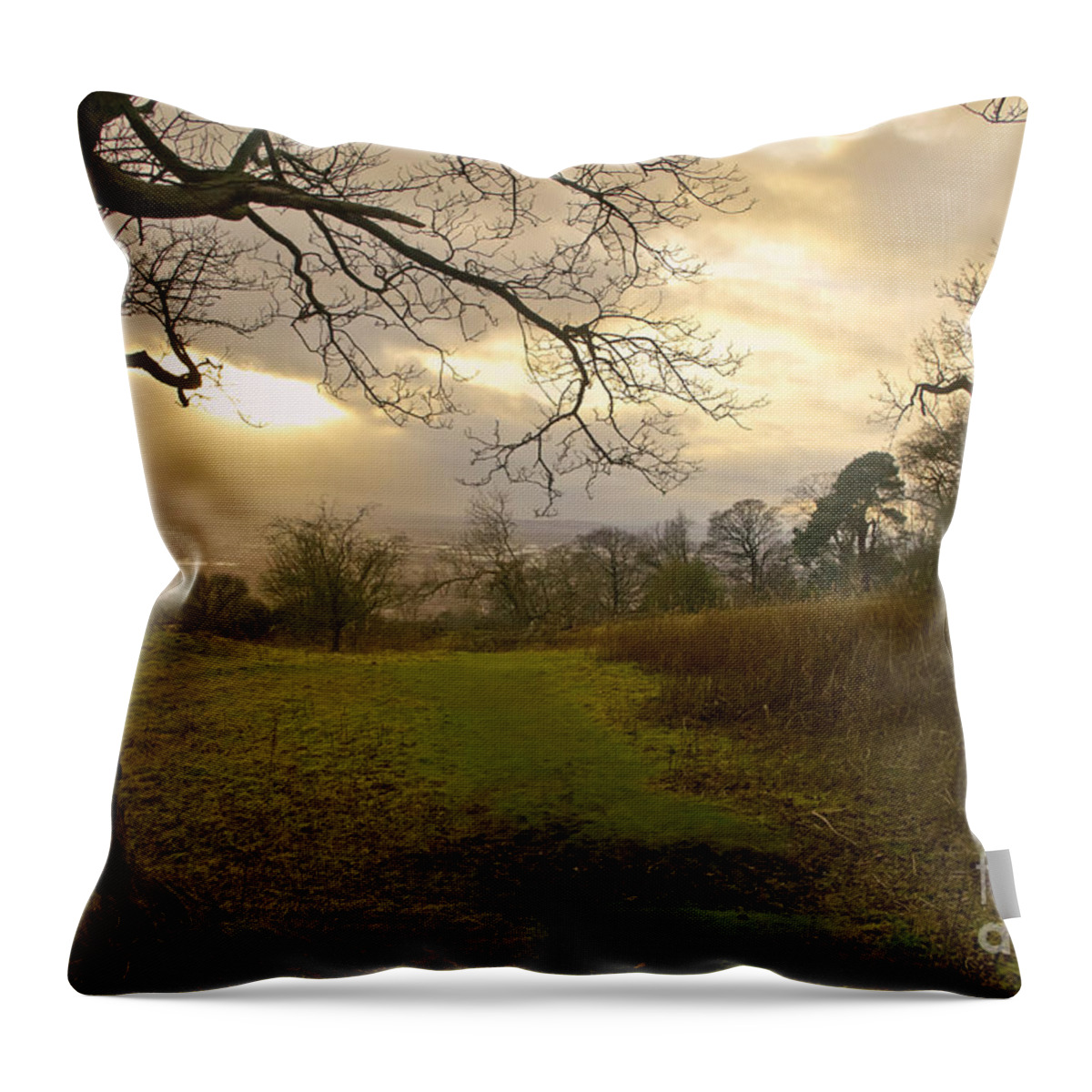 Sunset Throw Pillow featuring the photograph I follow the sunset. by Elena Perelman