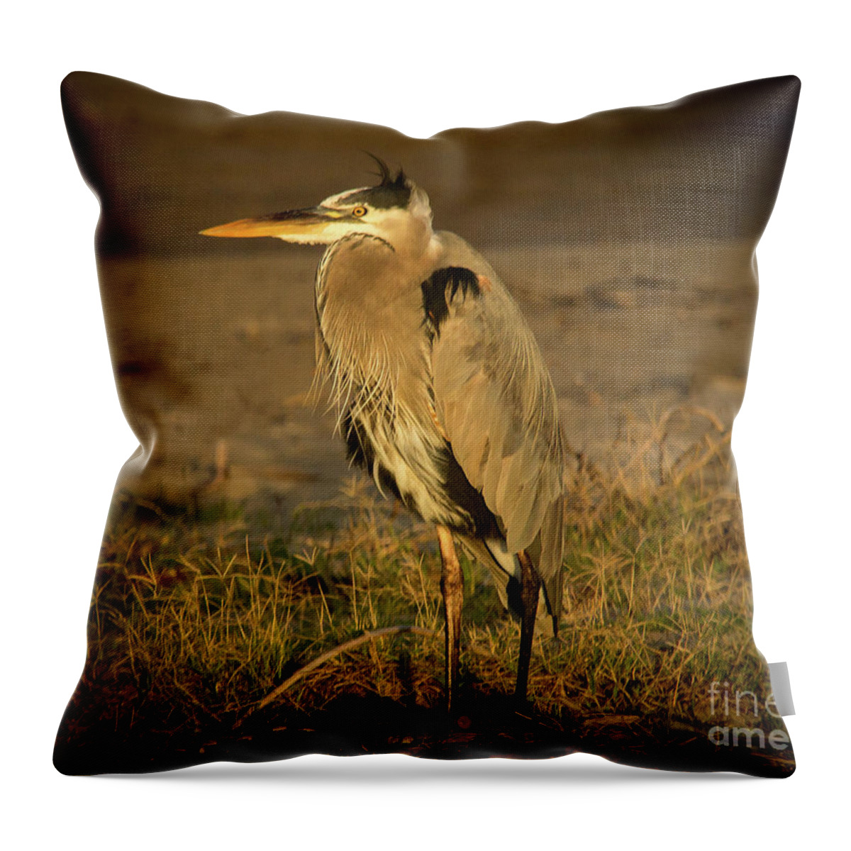 2016 Throw Pillow featuring the photograph I Know They are Coming Wildlife Art by Kaylyn Franks by Kaylyn Franks