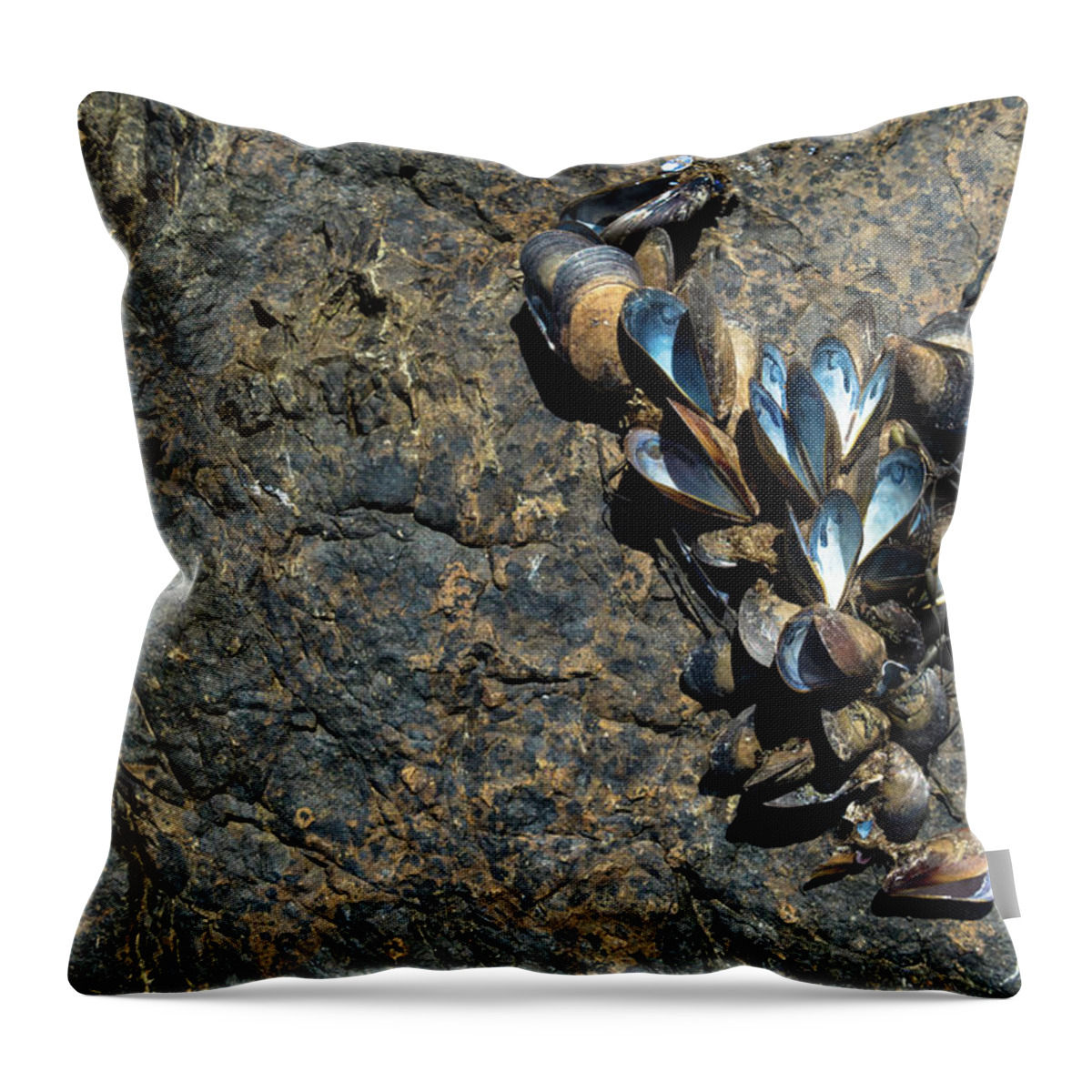 Maine Throw Pillow featuring the photograph I Love Maine by Holly Ross