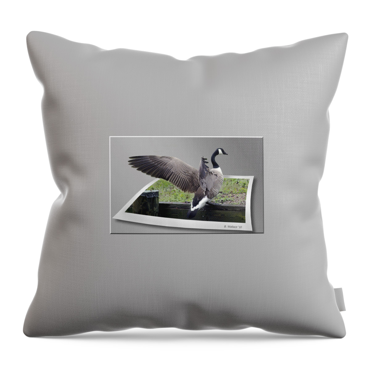 2d Throw Pillow featuring the photograph I Made It by Brian Wallace