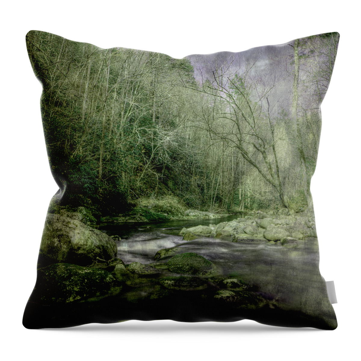Smoky Mountain Stream Throw Pillow featuring the photograph I Never Want It To End by Mike Eingle