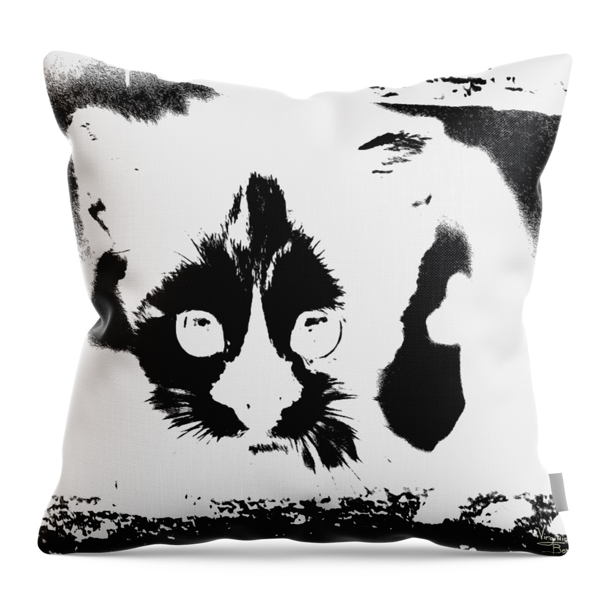 Black Andd White Throw Pillow featuring the painting    I See You by Virginia Bond