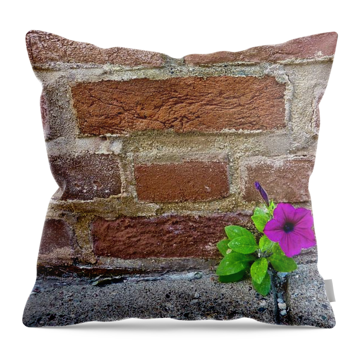 Flower Throw Pillow featuring the photograph I Think I Can by Melisa Elliott