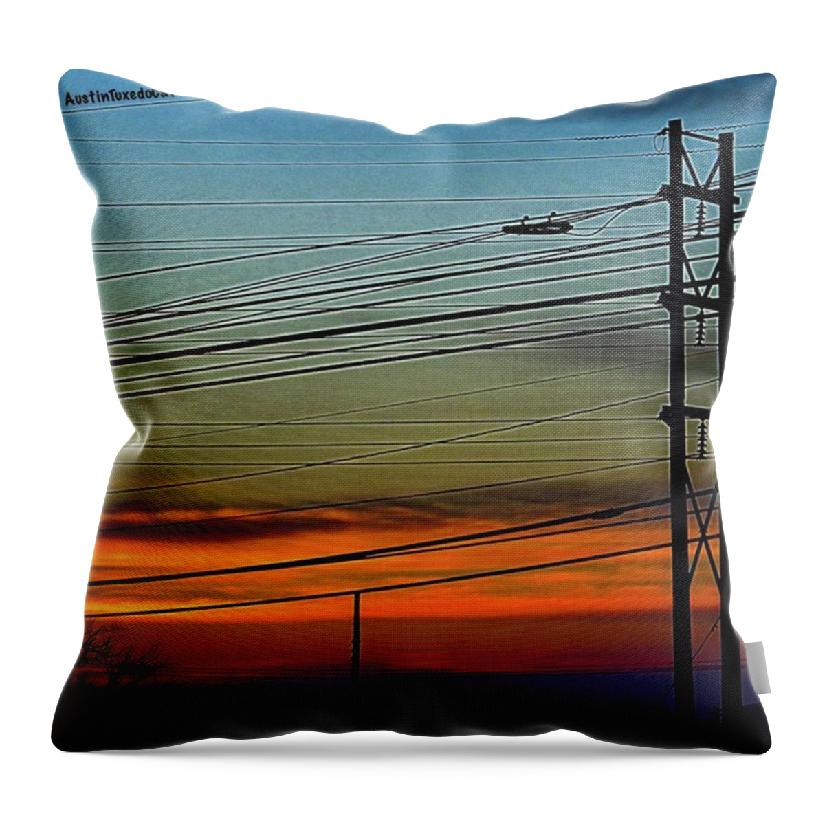 Wires Throw Pillow featuring the photograph I Think That A Few #wires Are by Austin Tuxedo Cat