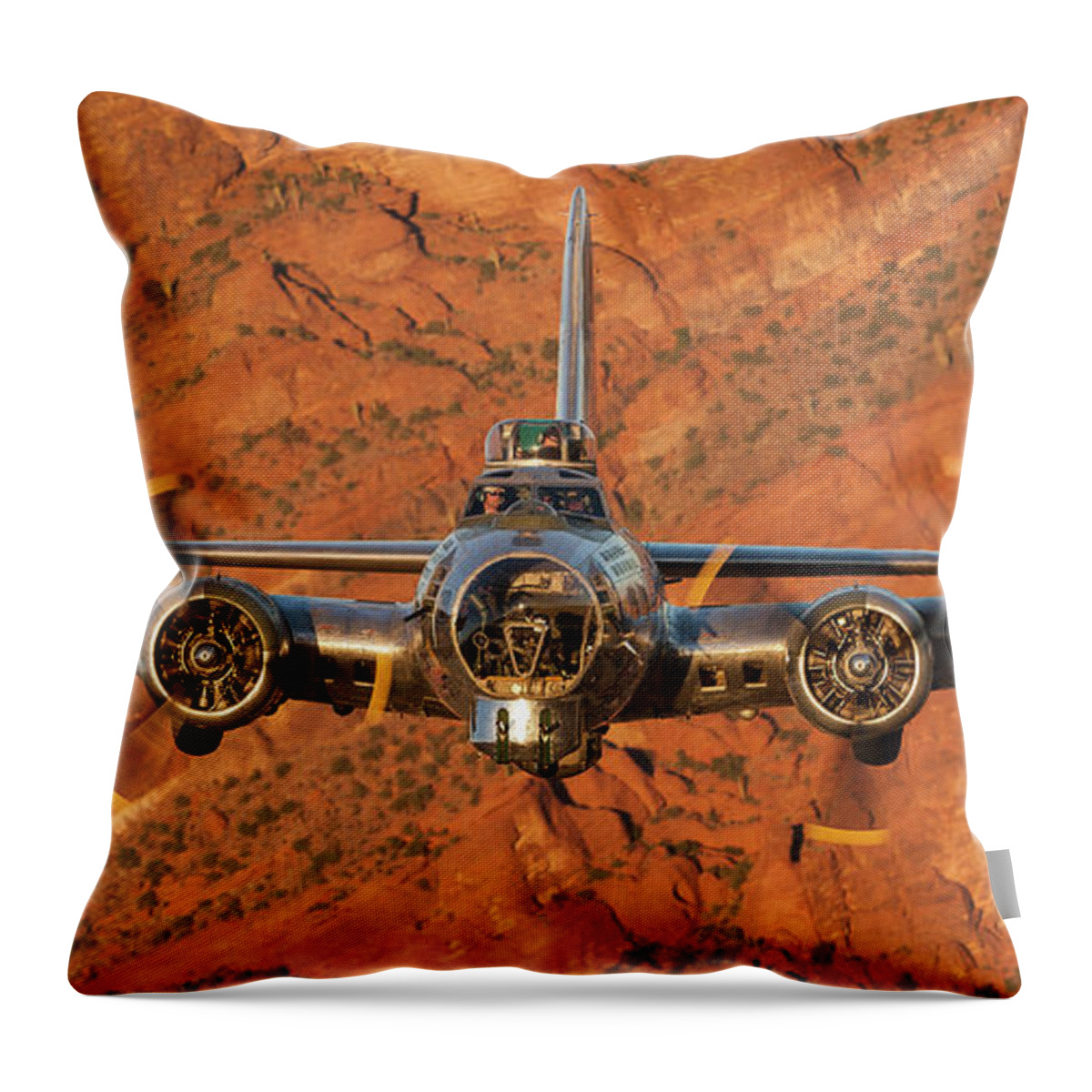 A2a Throw Pillow featuring the photograph I Think We're Being Followed by Jay Beckman