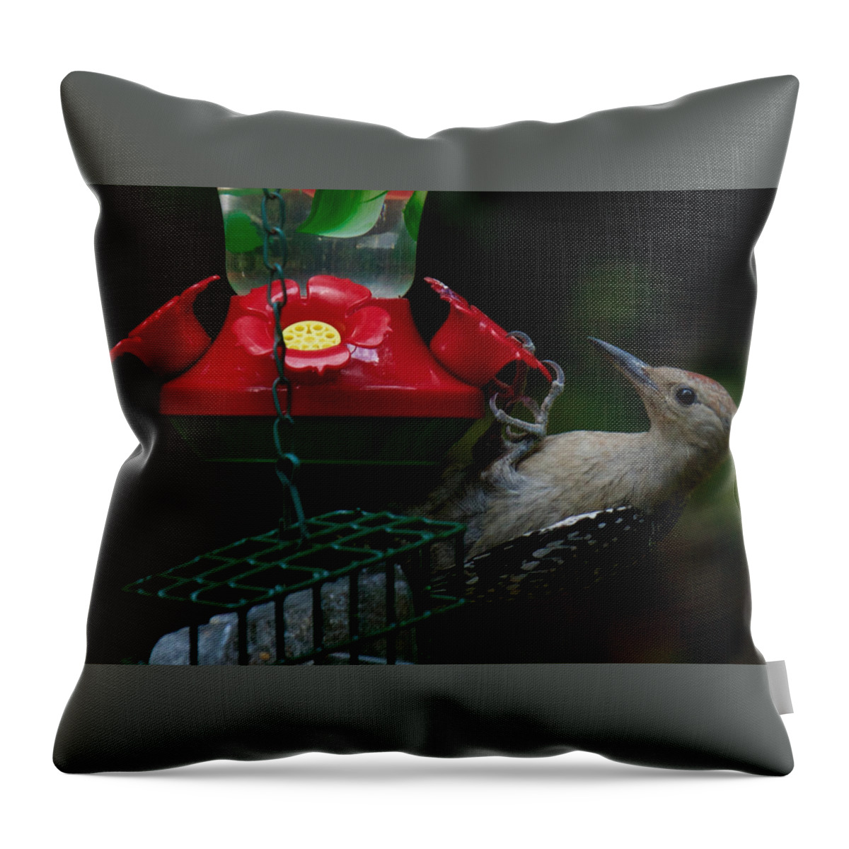 Red Throw Pillow featuring the photograph I want to be a hummingbird by Robert L Jackson