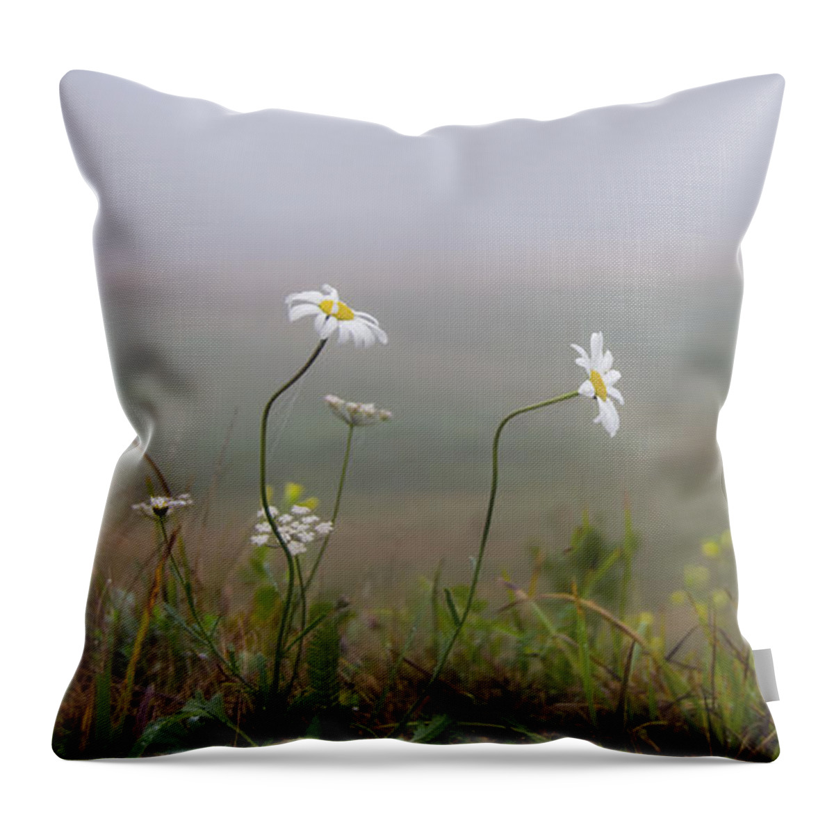 2015 Throw Pillow featuring the photograph I Watched You Walk Away by Sandra Parlow