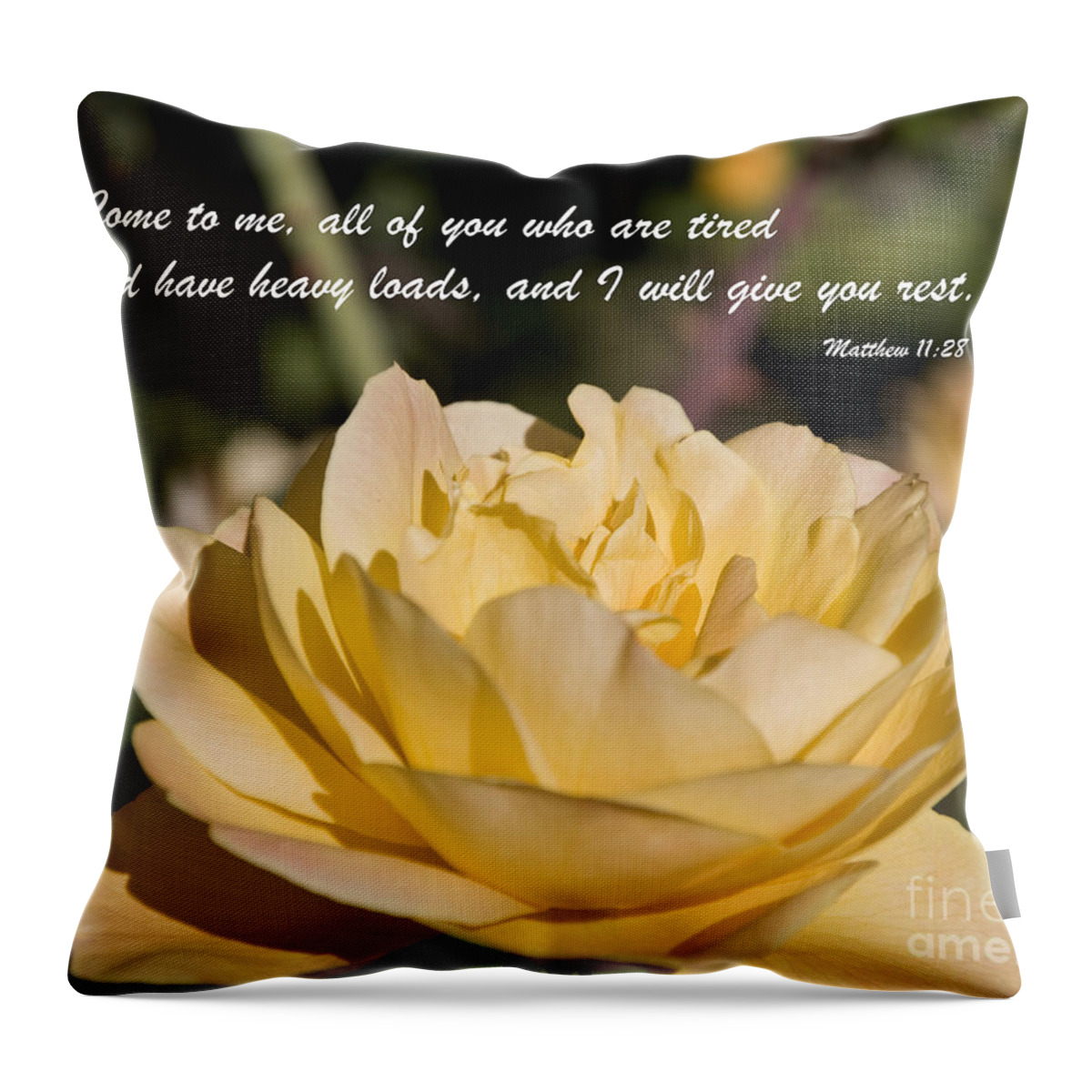 Bible Throw Pillow featuring the photograph I Will Give You Rest by Kirt Tisdale