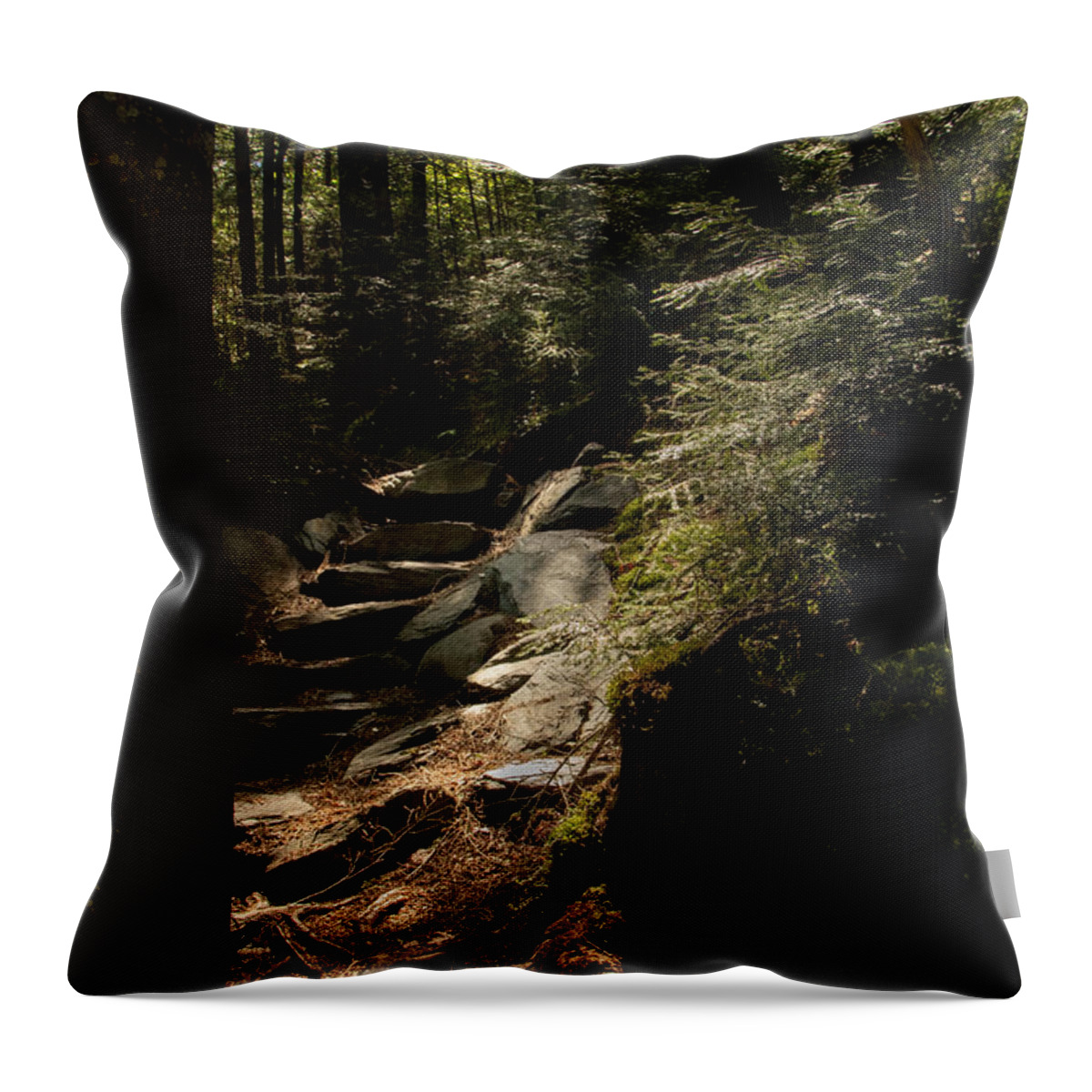 Maine Throw Pillow featuring the photograph I Will Light Your Way by Holly Ross