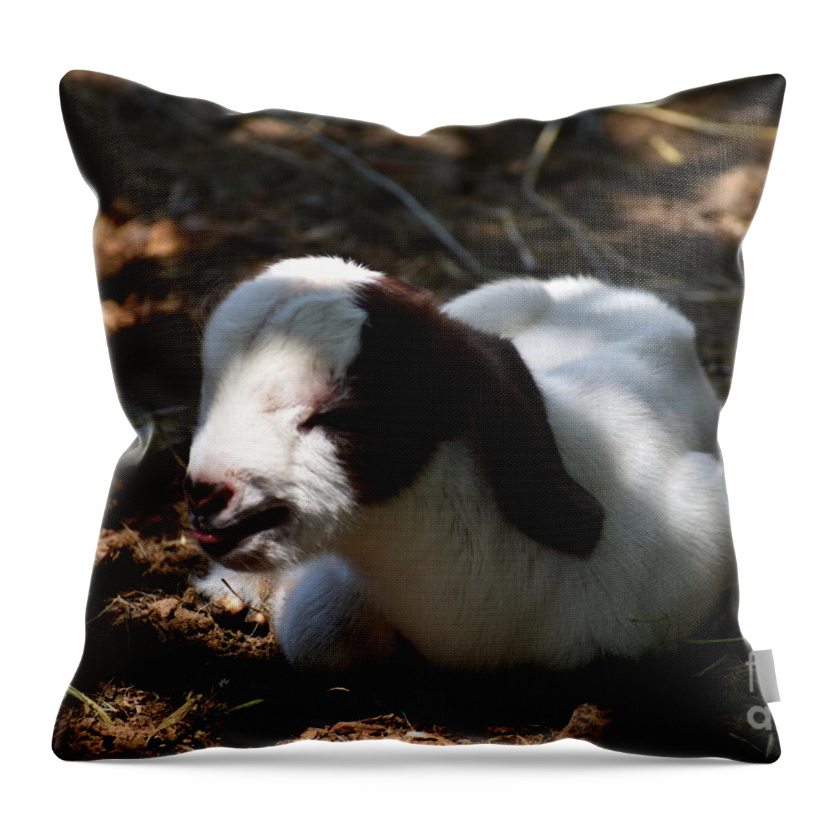 Baby Goat Throw Pillow featuring the digital art I won't get up by Yenni Harrison