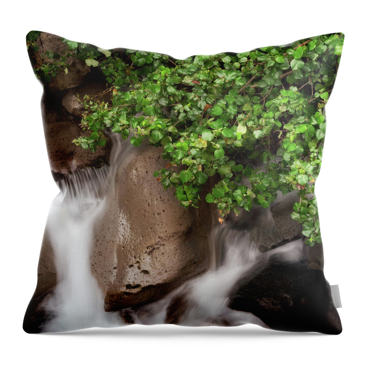 Maui Throw Pillow featuring the photograph Iao Valley River by Christopher Johnson