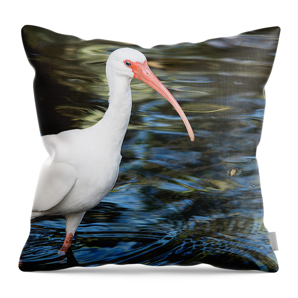Wildlife Throw Pillow featuring the photograph Ibis In The Swamp by Kenneth Albin