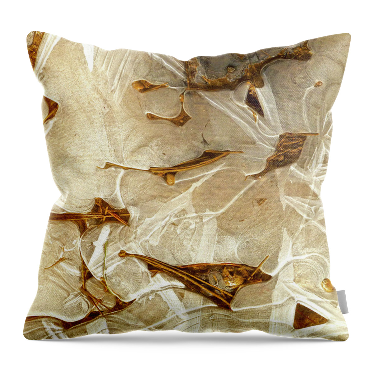 Bryce Canyon Throw Pillow featuring the photograph Ice and Needles, Bryce Canyon by Amelia Racca