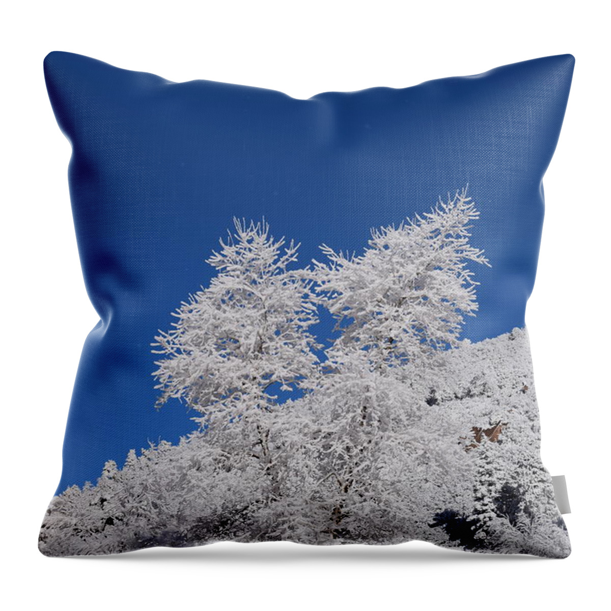Ice Throw Pillow featuring the photograph Ice Crystals Ute Pass COS CO by Margarethe Binkley