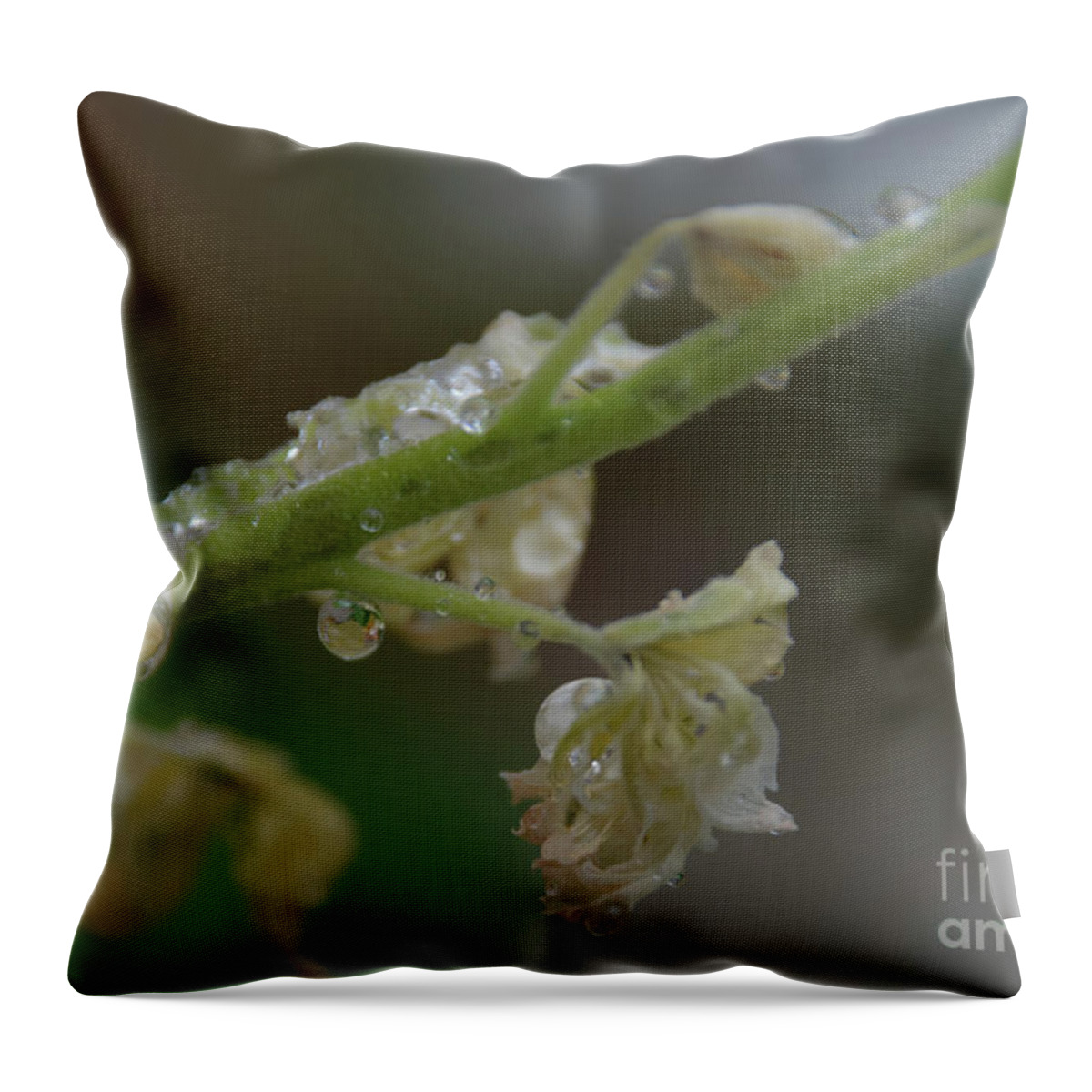 Snow Throw Pillow featuring the photograph Ice Drop Frozen - Georgia by Adrian De Leon Art and Photography