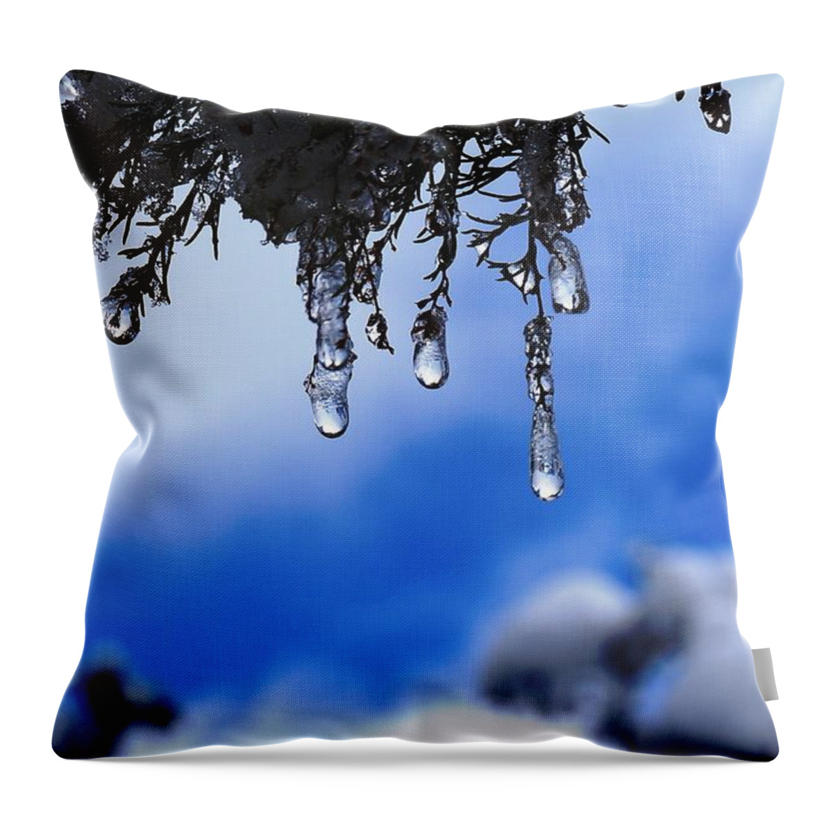 Ice Throw Pillow featuring the photograph Ice Drops by Julia Ivanovna Willhite