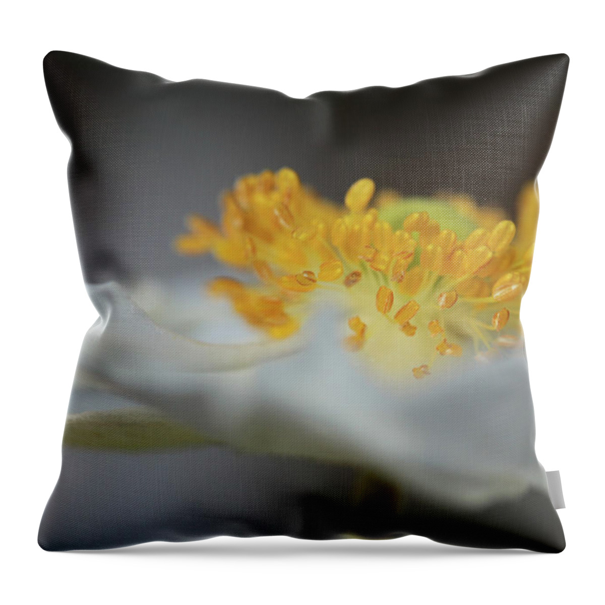 Connie Handsomb Throw Pillow featuring the photograph Ice Glow by Connie Handscomb