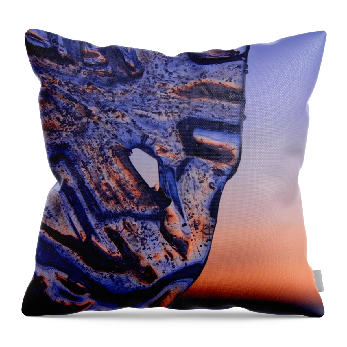 Enjoying Sunset Throw Pillow featuring the photograph Ice Lord by Sami Tiainen
